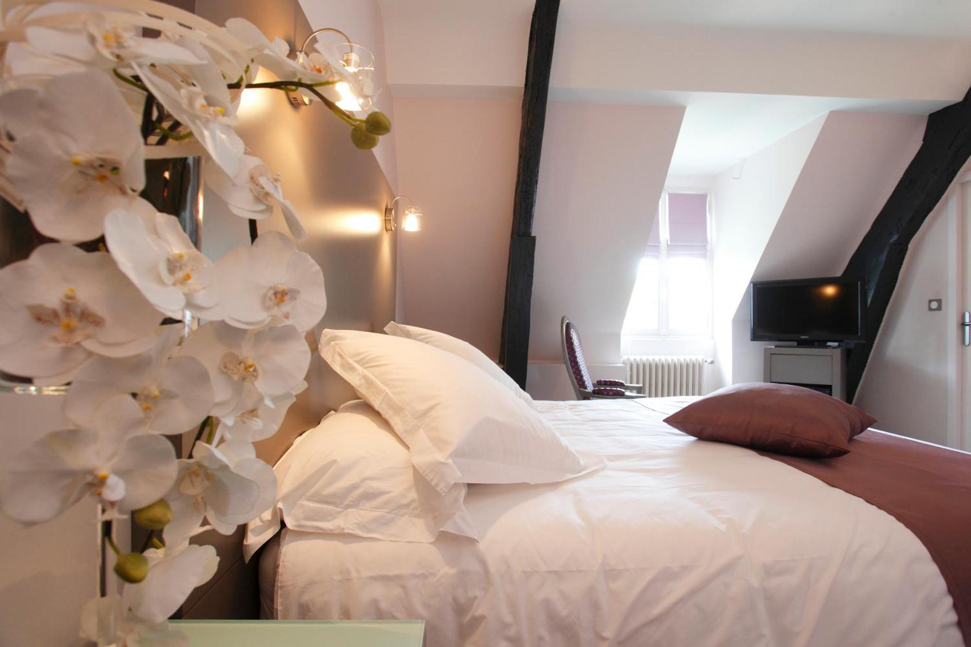 Hotel Chateau De La Barbiniere Saint-Laurent-sur-Sevre Εξωτερικό φωτογραφία